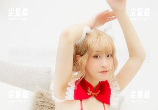 资源分享：北哥完全OK帮你找到的红猫猫，喵星人的日常！