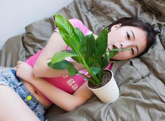 波萝社 - 爱上王语纯的旗袍图包分享，脑海中不断浮想她的无敌角色！